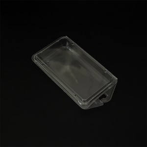 [Hot Item] Durable Plastic Packaging Clamshell for Food
