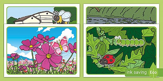 Minibeast Habitat Sorting Activity