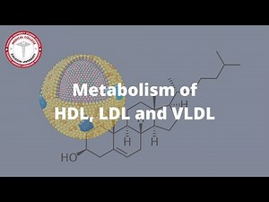 Metabolism of HDL, VLDL & LDL