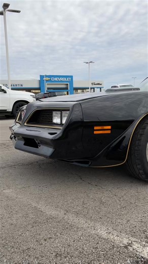 25K views · 1.1K reactions | 1977 Special Edition Trans Am ProTouring LS3 6-speed | The Royal Haul | Facebook
