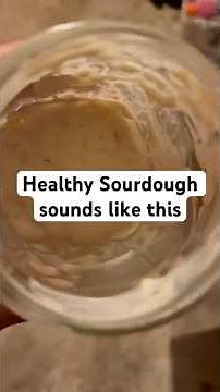 Sourdough starter thriving