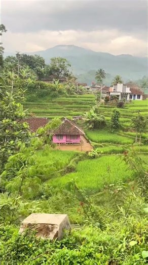 You found the most peaceful place to heal 🌿🏔️ #Shorts #Nature #Indonesia