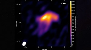 No One Knows What to Make of This Mysterious Space Jellyfish