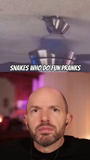 13K views · 110 reactions | #Snake #Jackass is one of my favorite #TV shows ever. I always love seeing the #pranks #slimy, #slippery and the rest of the guys come up with #steveo #johnnyknoxville | Paul Scheer | Facebook