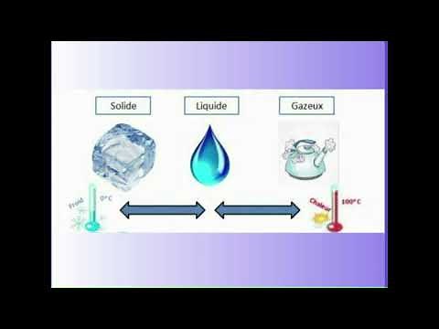 Les états de l'eau - CE1