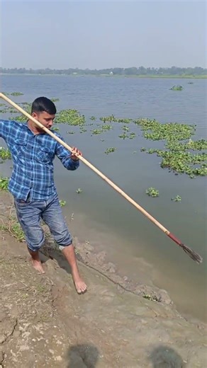 #গজার_মাছ #shortvideo