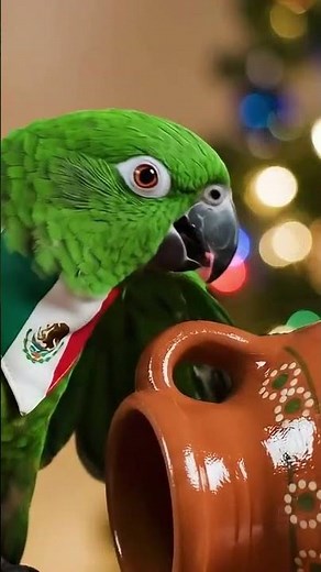 La abuelita regañona vs un animal imposible 🤠😤 #comedia #viral #mexicana