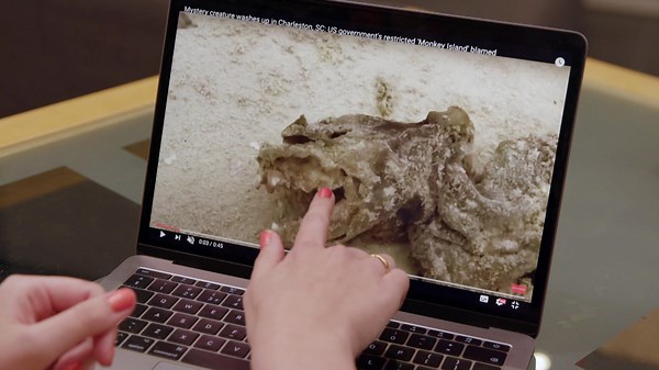 The Proof Is Out There Season 1 Episode 2 Escape From Monkey Island