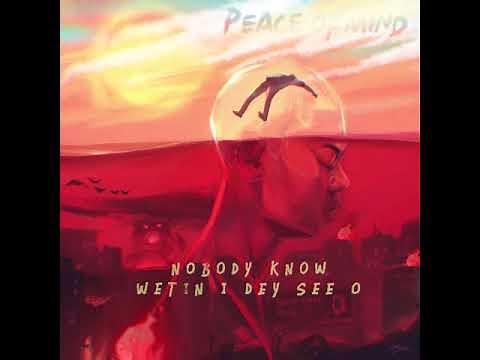 Rema - Peace of Mind (Lyric Video)