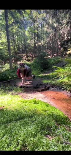 Exploring Quadrobics in Nature