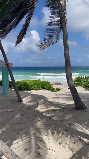 Cayman Life - The Bay