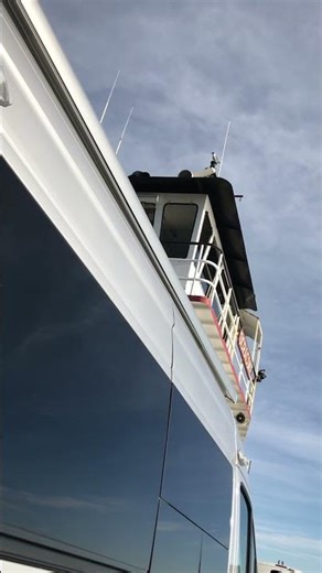 Seagull Hitching A Ride On Ferry