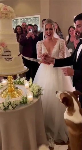 Wedding Cake Heist