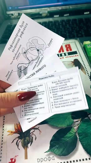 Делаю биологию на вторник, так как завтра репетитор и просто могу все не успеть! Мой Инстаграм: emaalena_#рекомендации#школа#домашка#уроки#влучшее