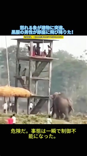 Exploring Wildlife in Nature Documentaries