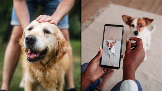 The most popular dog names of 2025