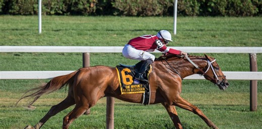 Homemade and cosmopolitan, the idiosyncratic writing of Gerald Murnane continues to attract devotees