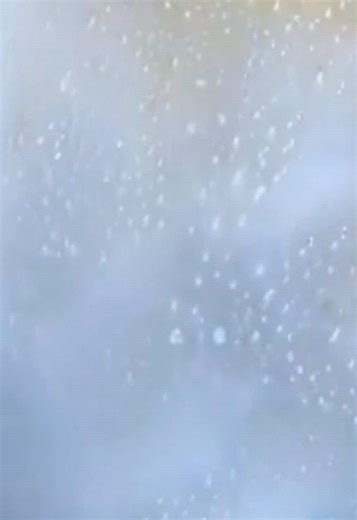 Lemon Mix Suds 🫧 @prettyicelandicasmr #sudsylovely #cleantok #asmr #spongesqueezing #spongetok