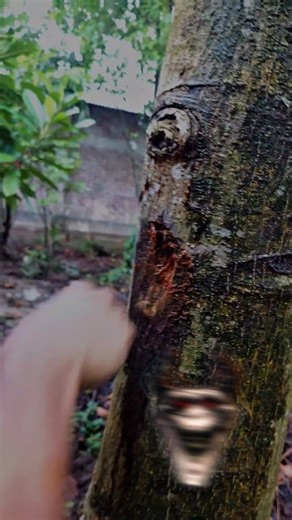 5.6M views · 96K reactions | Boxing training at home  #foryouシ #fb #viral #trend #boxing #tranding #home #mma #tutorial #short #kickboxing #learning #ufc #lifestyle #tiktok #reelsvideo #freestyle #motivational #gym #fitness #reelsviral | Bikram Roy | Facebook