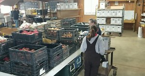 2.9K views · 59 reactions | Take a peak at our day to day operations as our team packs csa Farm Boxes for our Bowling Green location. Catch a glimpse of that table brimming full of farm fresh produce and other hyper-local products such as pasta, maple syrup, fresh baked breads and so much more! | Riehm Produce Farm, LLC. | Facebook