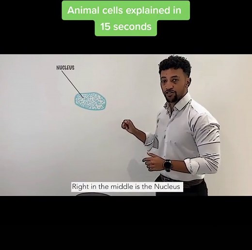 Understanding Animal Cells: A Comprehensive Guide for GCSE Biology Students