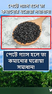 পেটে গ্যাস হলে তা কমানোর ঘরোয়া সমাধান 😱 #reelsfb #foryoupage #tips #food #viralreels #reelsvideo #reelsviral #Reels #fyp #trendingreels | World Data Knowledge