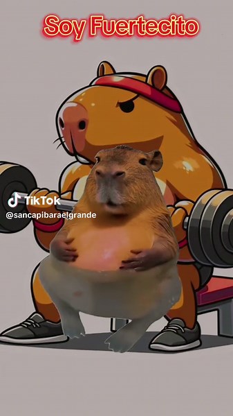 #SISEPUEDE #NOSOYGORDOSOYDEHUESOSANCHOS #ZUMBATEUNOSTACOS #ADIOSCAPIGORDITO #YAMECANSE