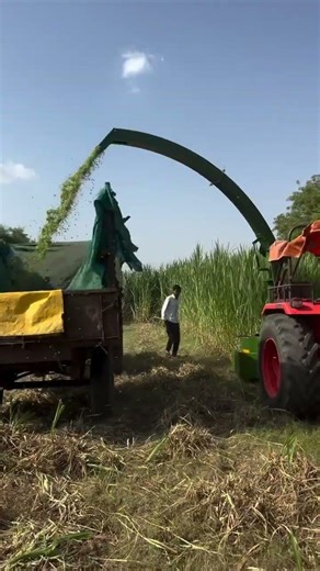 "Napier harvesting with tractor in India" #napier cutting demo