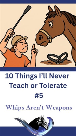 171 reactions · 13 shares | #5: Whips Aren’t Weapons  Use the whip...