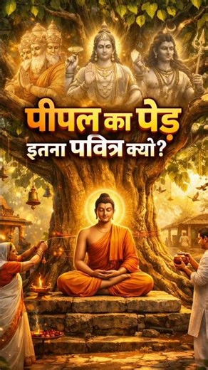 Why is the peepal tree sacred #shorts #Explore #Peepal #BodhVriksh #LordBuddha #Shiva #Vishnu #ku...