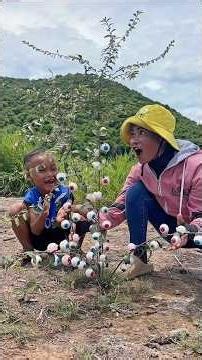 Orange Turns Into Hot Air Balloon 🍊🔥 | Creative Photography Idea | Outdoor Abstract Fun