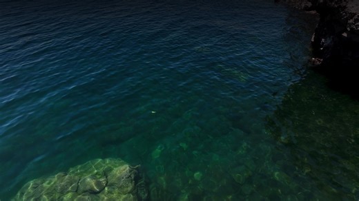 Introducing Ascender - Affordable Performance - Learn More: https://accuratefishing.com/products/ascender | Accurate Fishing