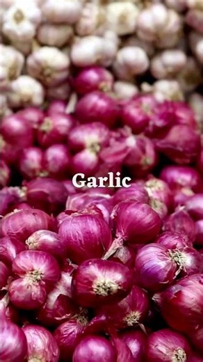 Plants for a Container Salsa Garden