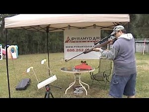 RWS 350 Magnum "Striker" Combo from PyramydAir.com