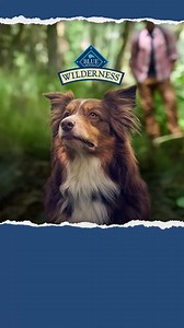 The wild is calling. Are you listening? Spend $45 dollars on BLUE Wilderness dog foods and treats to get $10 back. | Blue Buffalo | Facebook