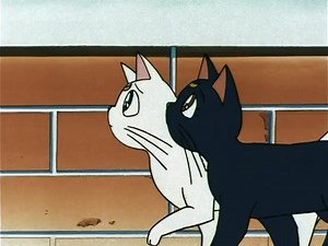 142K views · 5.4K reactions | Luna should be careful . He next meal could be dog chow | Sailor Moon Unlimited | Facebook