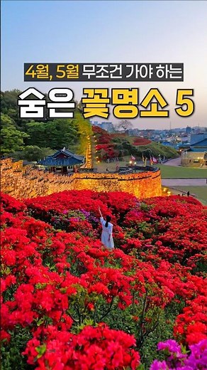 South Korea, Spring flower travel destination 5 in April and May