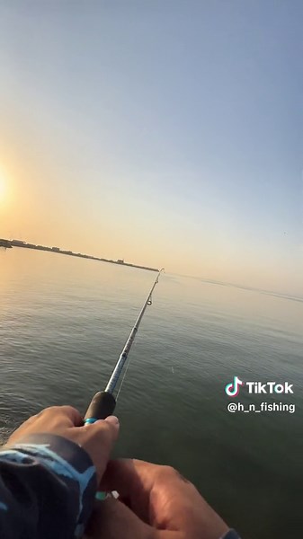 صيد الحاقول بفن البنسل ستك بايت