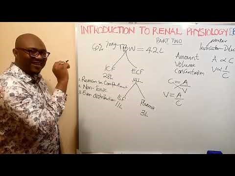 Introduction To Renal Physiology (Body Fluids) – Lecture 1B