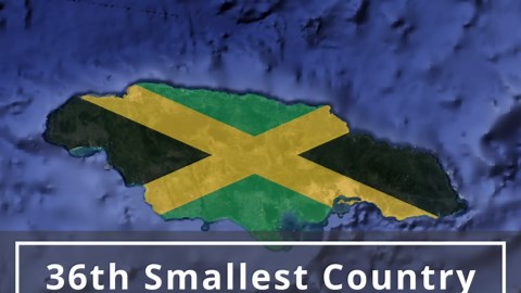 Why Jamaican Trucking Is Underrated: The Untold Story of Jamaica's Trucking Industry