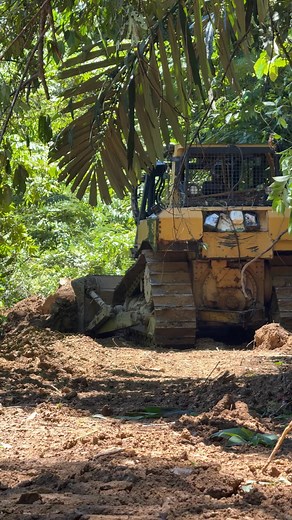 Fierce & Loud | The Mega Machine