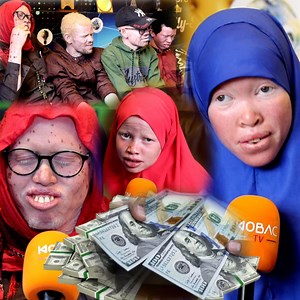 528K views · 17K reactions | Soomali Albino boqolaal dollar oo kadis ah ayaan siiyay laakiin isku qabiil miyaa kuwa noocaan ah ee.. | Illintir | Facebook