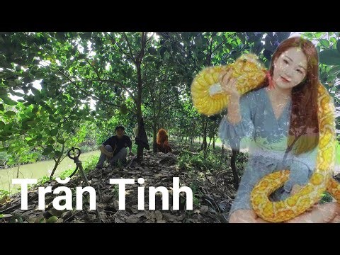 Giant Python Eats Young Girl (horror movie)