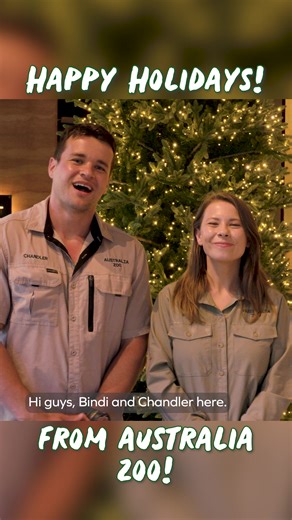 Happy holidays and Merry Christmas from our Australia Zoo family to yours🎄 #AutraliaZoo #Wildlife #Conservation #WildlifeConservation #Animal | Australia Zoo