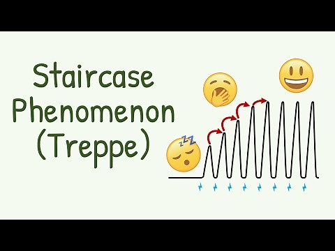 How the Muscles SLOWLY WAKE UP from "Sleep" || Staircase Phenomenon or Treppe in Muscle Contraction