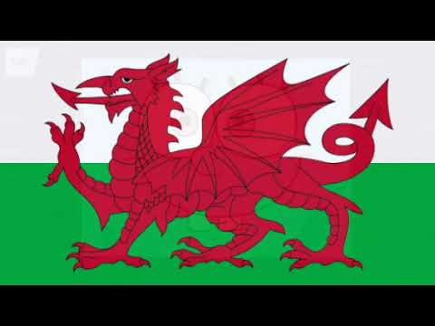 SpongeBob SquarePants - Theme Song (Welsh, Season 9 - Present)