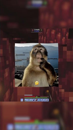 Qual CAMADA cavar procurando FERRO no MINECRAFT? #minecraft