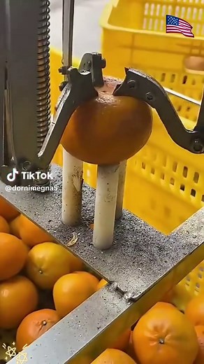 Amazing Factory Tour: Satisfying & Relaxing Production