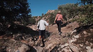 Top 10 National Parks to Visit in the US