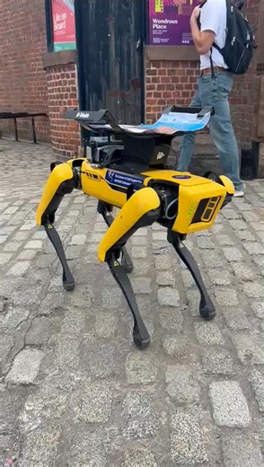 This week as part of British Science Festival visitors on the dock will be treated to a glimpse of the future as they come face-to-face with a robot dog, showcasing how these machines can be used to search for materials on ships. Find out more online about our collaboration with the British Science Festival here> https://albertdock.com/news/royal-albert-dock-welcomes-immersive-maritime-mission-for-the-british-science-festival/ | Royal Albert Dock Liverpool
